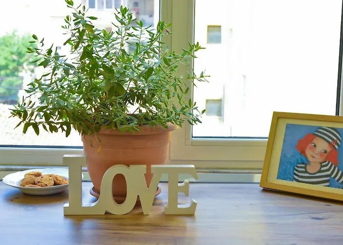 ✦ The Muse Ii Tirana