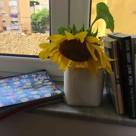 ✦ The Muse Ii Apartamento